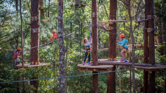 Canberra: Majura Pines Junior-Baumseilgarten