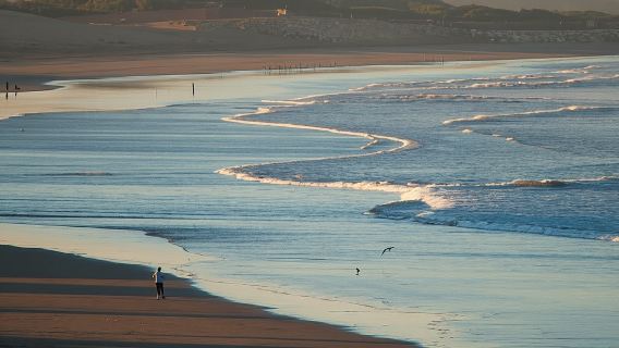From Agadir: Sahara Desert Day Trip and Camel Ride