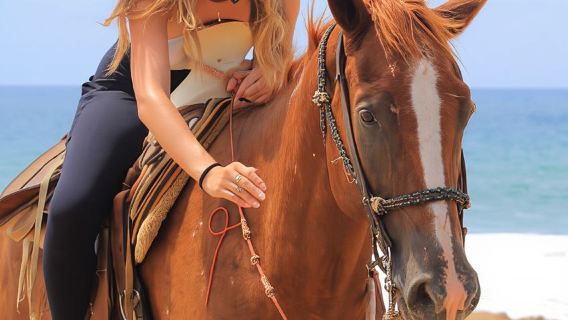 Cabo San Lucas: Tour cưỡi ngựa trên bãi biển và sa mạc