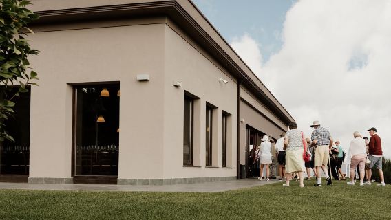 Linguaglossa : Expérience de dégustation de vins à Etna Nord