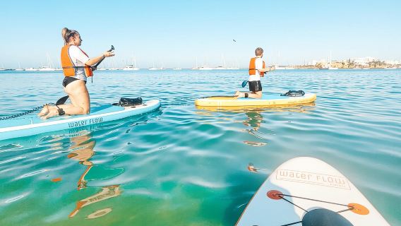 Ferragudo: Chuyến phiêu lưu chèo thuyền kayak và chèo ván đứng tự hướng dẫn