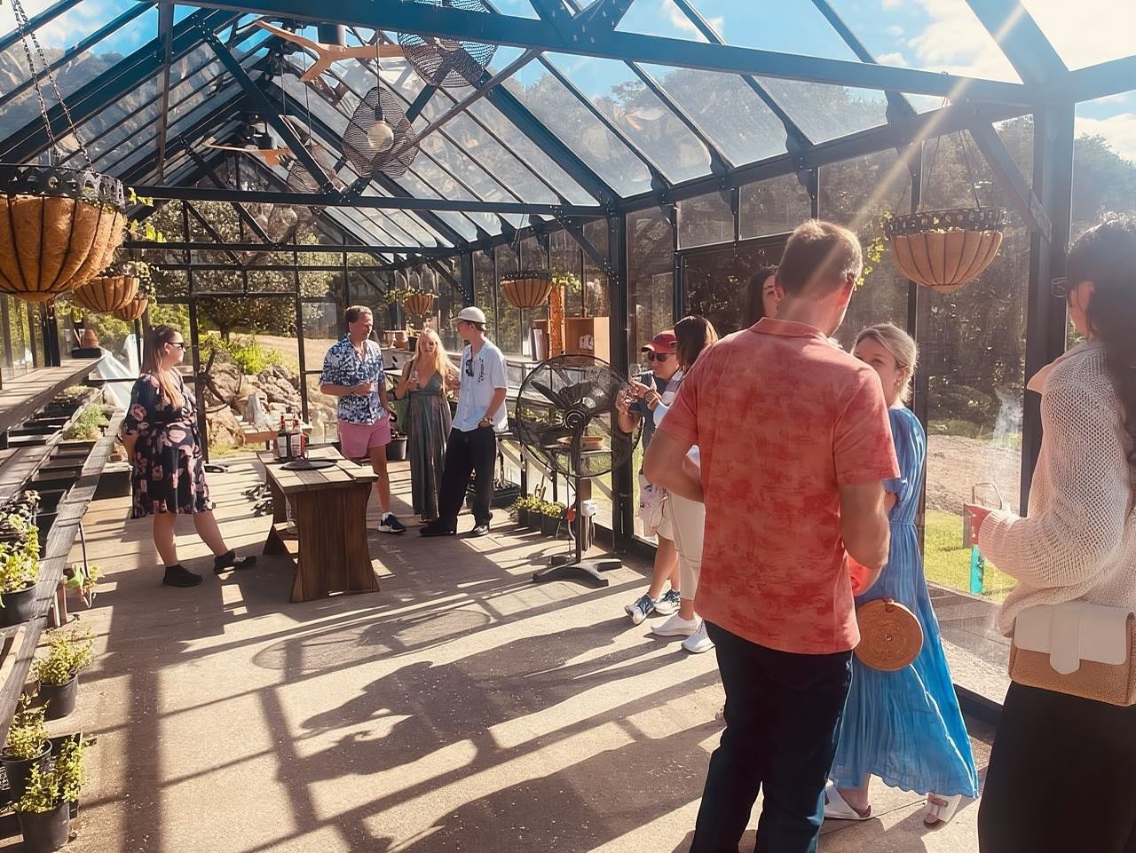 Waiheke Island: Scenic Island Wine Tour & Local Wine Tasting