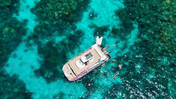 Half-Day Pure Snorkeling Tour at the Great Barrier Reef in Cairns, Australia with Afternoon Tea