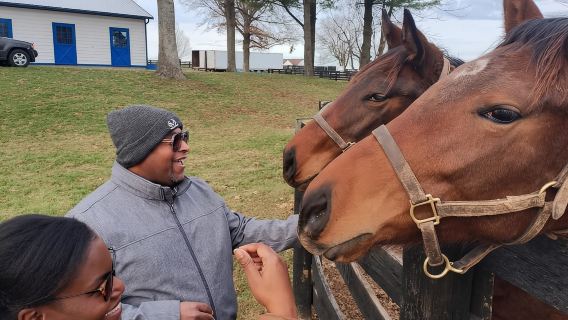 Lexington: Thoroughbred Horse Farm Tour and Scenic Bluegrass