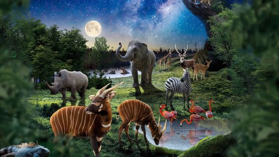 Phu Quoc Vinpearl Safari-Nachttour [Hin- und Rücktransfer + Eintrittskarte]