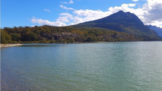 Ushuaia Combo: Tierra del Fuego National Park & Round Trip Transfers to airport
