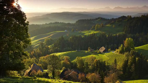 BerneTours