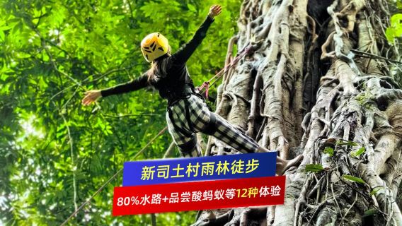 基諾山雨林徒步一日遊：80%水路嘗酸螞蟻樹降竹筏等12種體驗