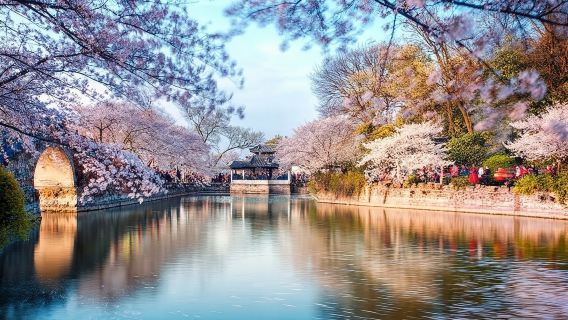 All Inclusive Wuxi City Flexible Private Day Tour