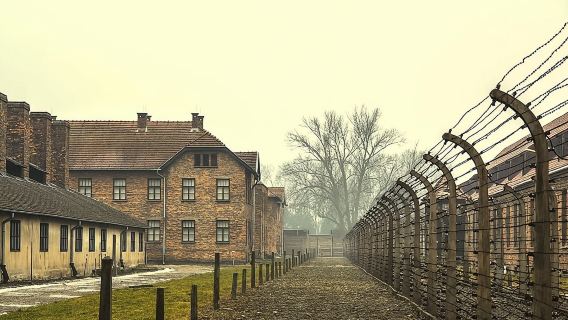 Krakow: Auschwitz-Birkenau Guided Tour & Hotel Pick Up