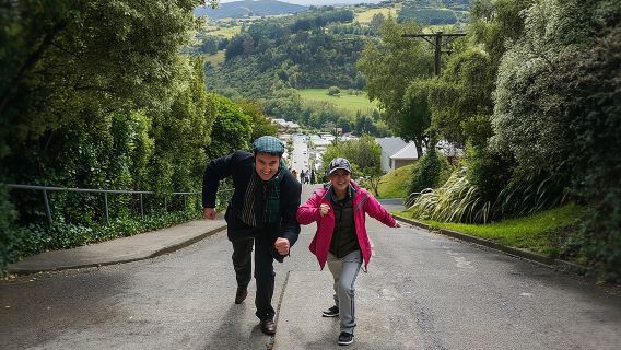 Iconic Shore Excursion: Dunedin City Highlights Tour