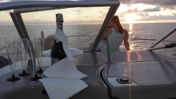 Private Dolphin and Whale Watching Tour in Madeira