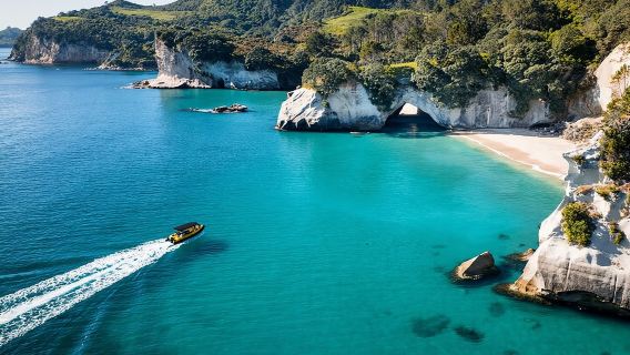 2 Hour Cathedral Cove and Volcanic Coast Cruise with Shade Canopy