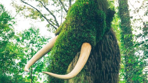 Tour audio autoguidato di Atlanta