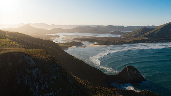 Otago Peninsula In-Depth Tour & Blue Penguins Pukekura Experience