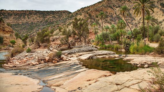 Guided Tour to a Berber Oasis from Agadir with Short Hike