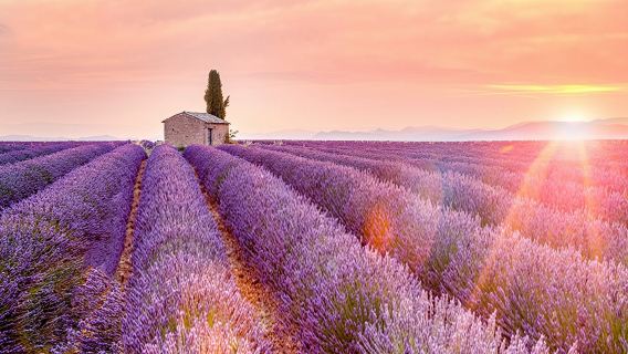 1-day tour to Verdon Gorge + Moustiers-Sainte-Marie + Valensole from Marseille, France