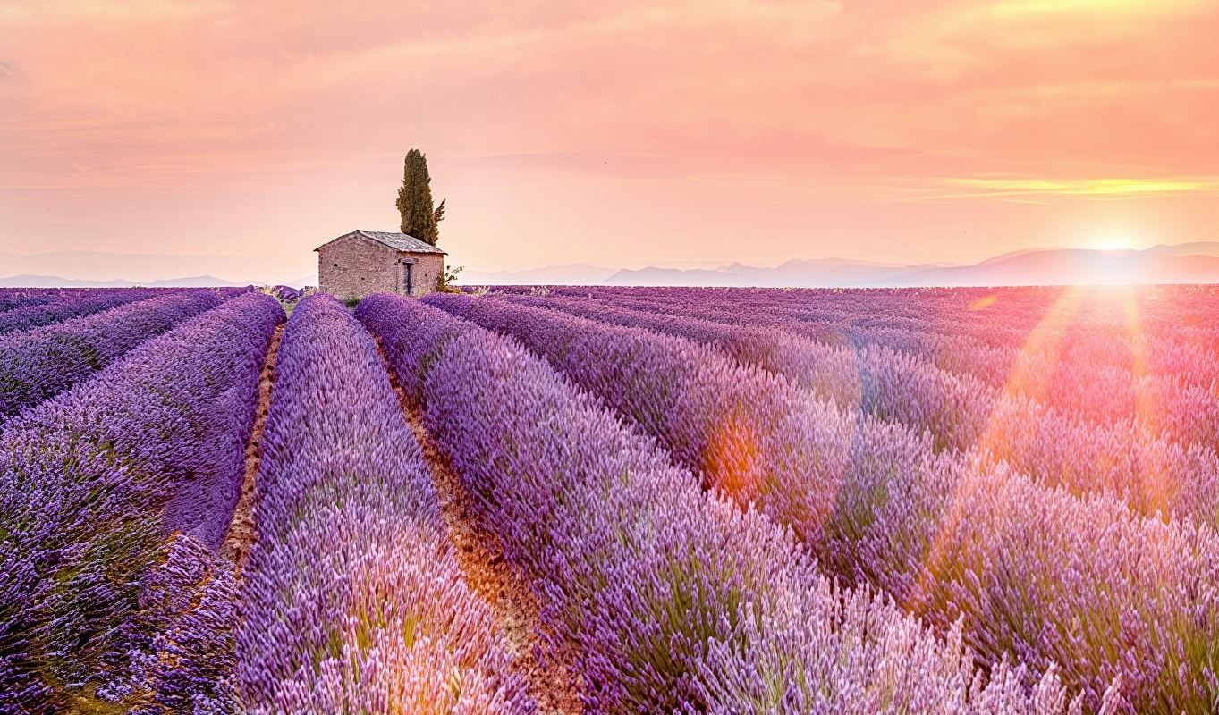 1-day tour to Verdon Gorge + Moustiers-Sainte-Marie + Valensole from Marseille, France