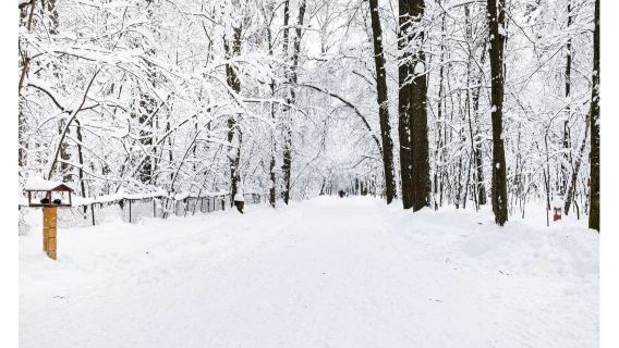 perjalanan satu hari ke Sendai, Miyagi, Desa Rubah Zao, Pohon Es Zao, dan Pemandian Air Panas Ginzan di Jepang