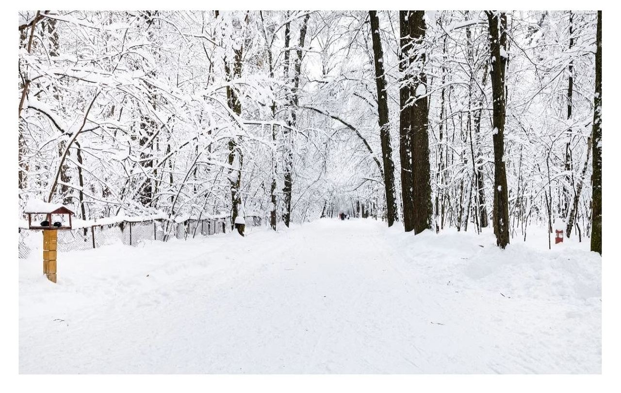 Tagesausflug ab Sendai, Japan: Dorf der Zao-Füchse in Miyagi, Zao-Eisbäume und Ginzan Onsen