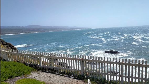 San Francisco: Golden Gate Bridge + Fisherman's Wharf + Half Moon Bay + Stanford University