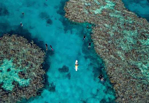 Full-Day Great Barrier Reef Snorkeling from Hamilton Island AUD 308.72