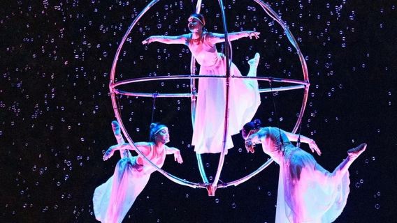 Chimelong Safari Park + Chimelong International Circus 1-day tour [Premium route@Includes admission ticket]