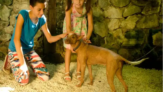 Croco Cun Zoo: Fast Track Ticket