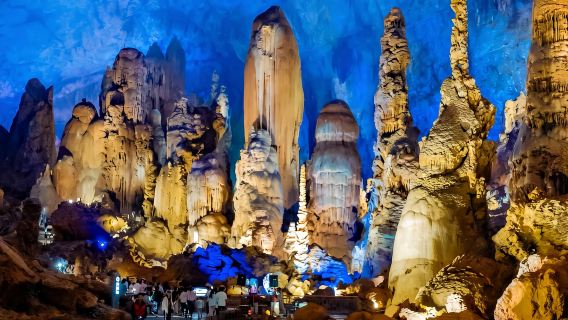 貴州織金洞一日遊【獨立包團包車團+獨立成團+上門接送】