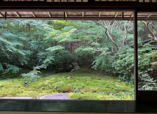 日本京都-貴船神社-三千院/嵐山嵯峨野小火車-紅葉巡禮紅葉季