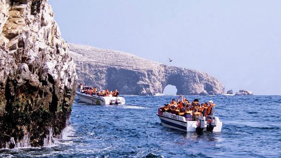 리마: ICA HUACACHINA, 파라카스 및 발레스타스 섬 - 1일