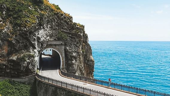 Da Napoli: Gita di un giorno a Positano (Costiera Amalfitana)