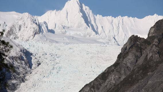 Fox Glacier: Half Day Walking & Nature Tour with Local Guide