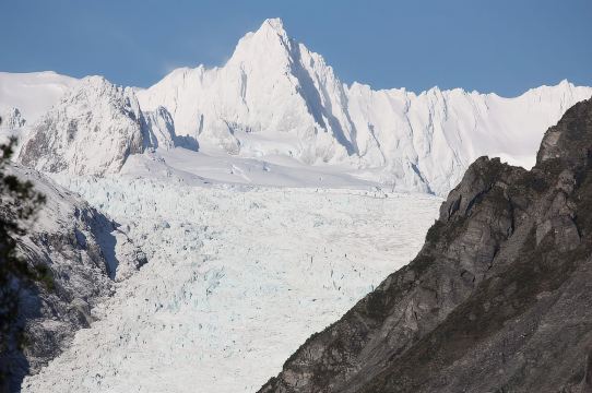 Fox-Gletscher: Halbtägige Wanderung und Naturtour mit lokalem Guide