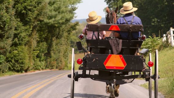 Comté de Lancaster : terres agricoles amish, visite du musée, visite de la ferme