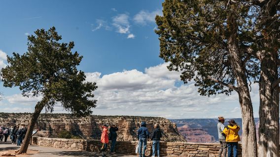 Las Vegas: Parque Nacional del Gran Cañón Sur con almuerzo y wifi gratis