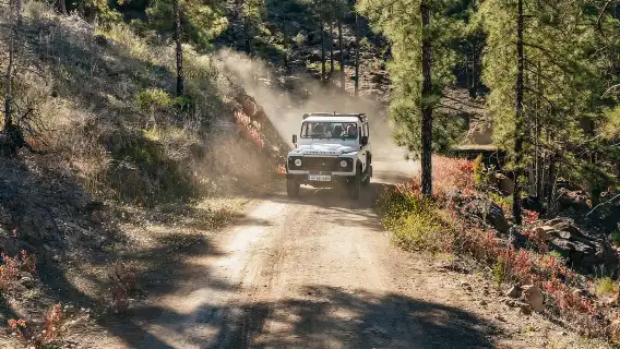 South Gran Canaria: Off-Road Valleys & Villages Jeep Tour
