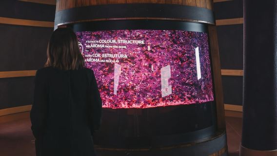 Porto: Esperienza enologica e degustazione personalizzata presso la scuola del vino