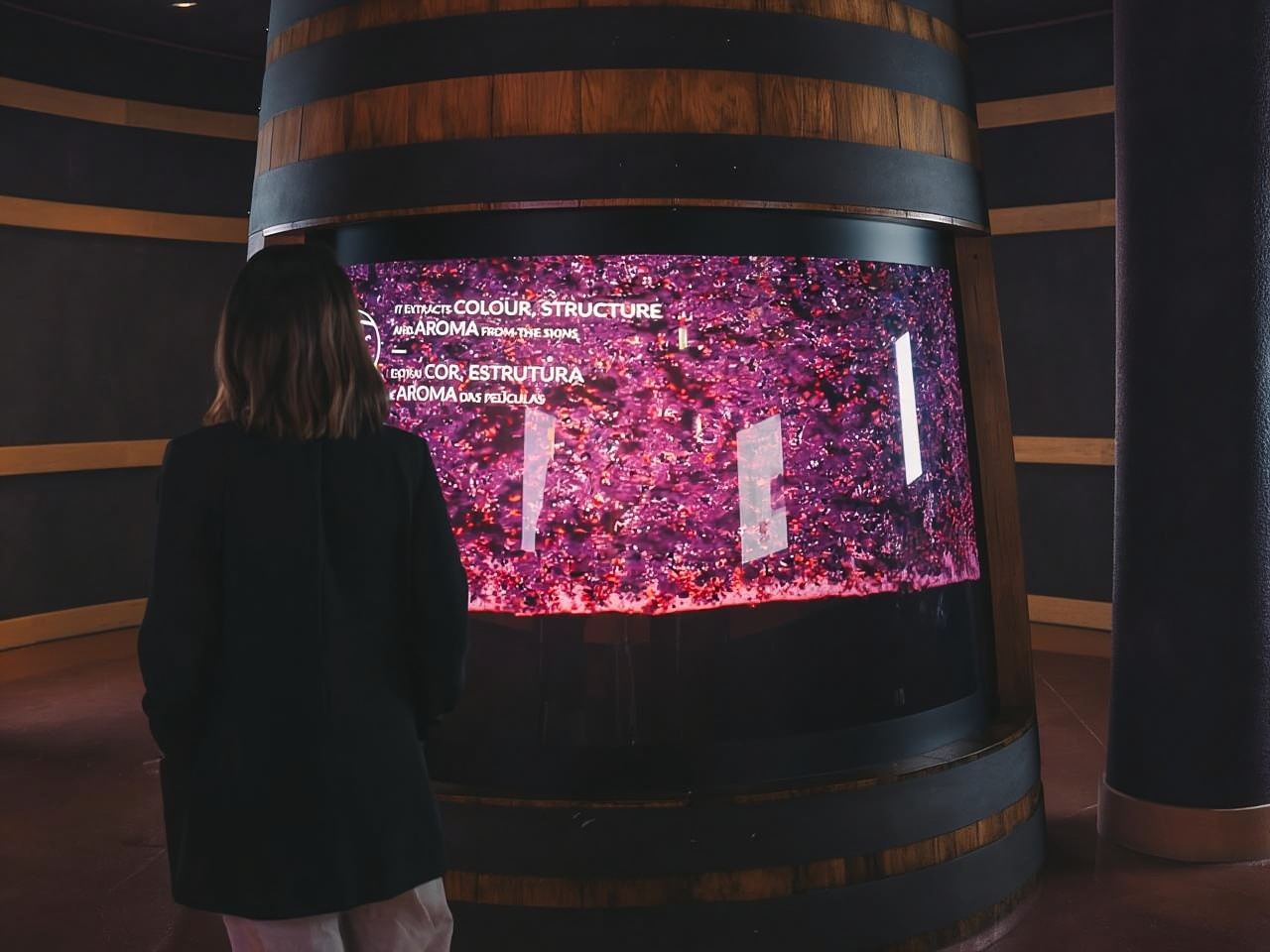 Porto: The Wine Experience, Best Wine Museum in the World