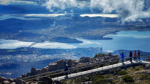 Chuyến tham quan buổi chiều tuyệt vời ở Mt Wellington
