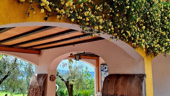 San Felice: Olive Oil Tasting with local food on Garda Hills