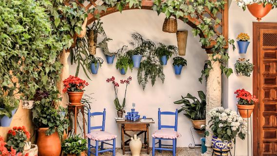 Córdoba: Lawatan Berpandu ke Patio