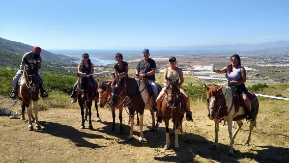 Ensenada: Những con đường mòn ẩn giấu của Baja: Cưỡi ngựa ngắm cảnh biển