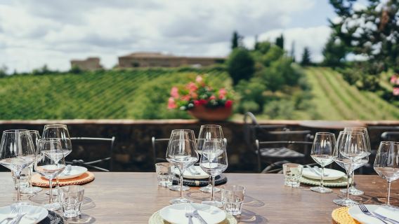 Tuscany wine tour with a local wine expert ( small group)