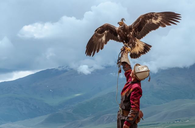 哈薩克全境|商務考察翻譯|展會翻譯|旅遊陪同|醫學翻譯|名校導覽|中文/俄語|如需其他語言（請諮詢客服）