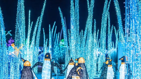 Festilumi | A world of light and imagination | Hong Kong's Wan Chai Harbourfront