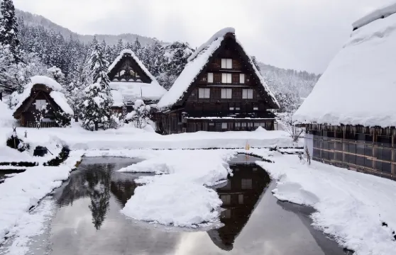 日本高山市Trip Moments【岐阜縣飛驒高山當地專業攝影師1小時跟拍・7天內出片・底片100張】