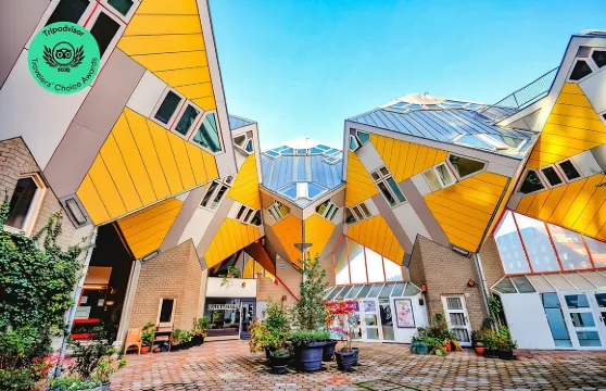 私人日遊：從阿姆斯特丹出發前往鹿特丹、代爾夫特及海牙