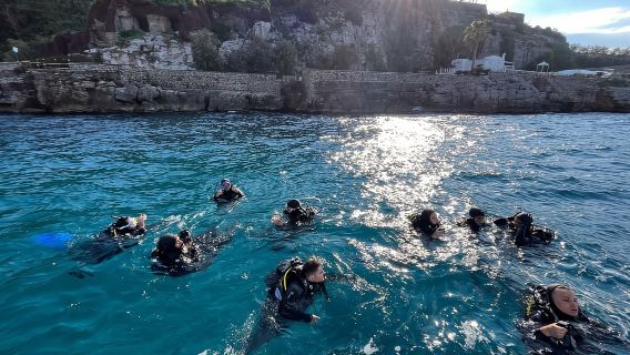 Sorrento: Snorkeling morning tour with a Marine Biologist.