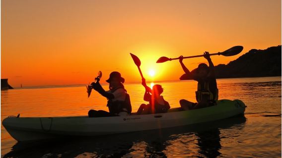 Kayak 2 heures au centre d'Okinawa · Accès facile ! Croisière dans la mangrove au coucher du soleil avec photo offerte